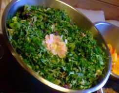 2013-08-13  leckerer Kräutersalat - alle pflückten mit 